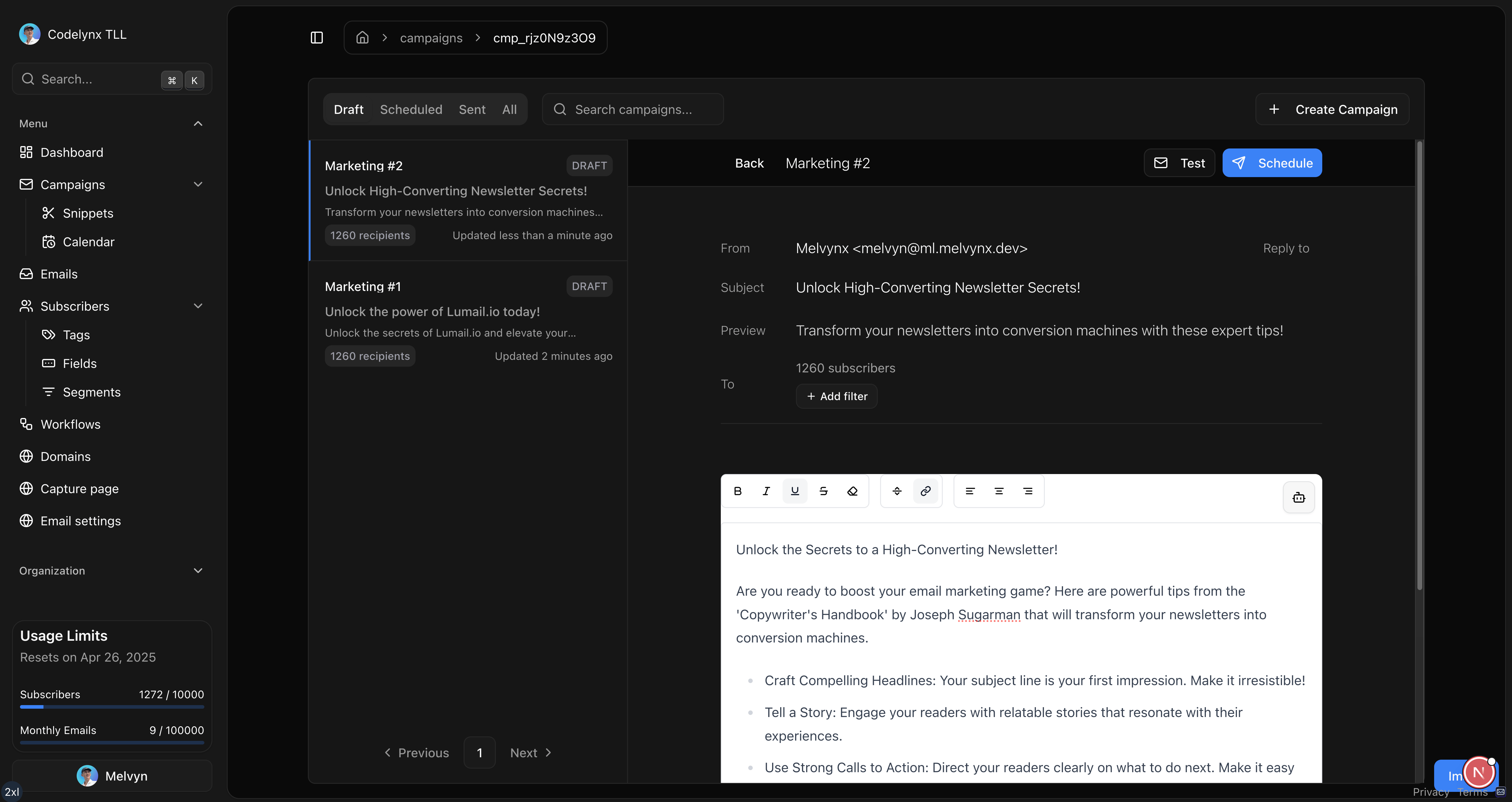 The real Lumail campaign editor with campaign settings and the email canvas